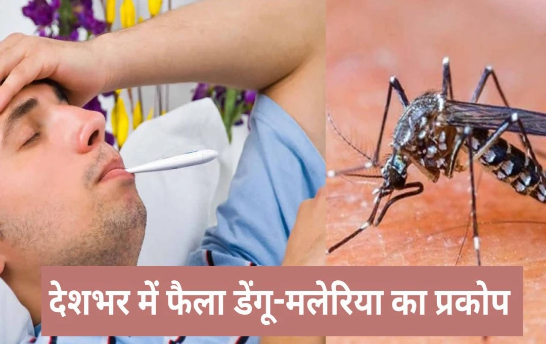 Dengue and Malaria: देशभर में फैला डेंगू-मलेरिया का प्रकोप, दोनों बीमारियों के लक्षण बिल्कुल एक जैसे; जानिए कैसे करें इनमे अंतर?