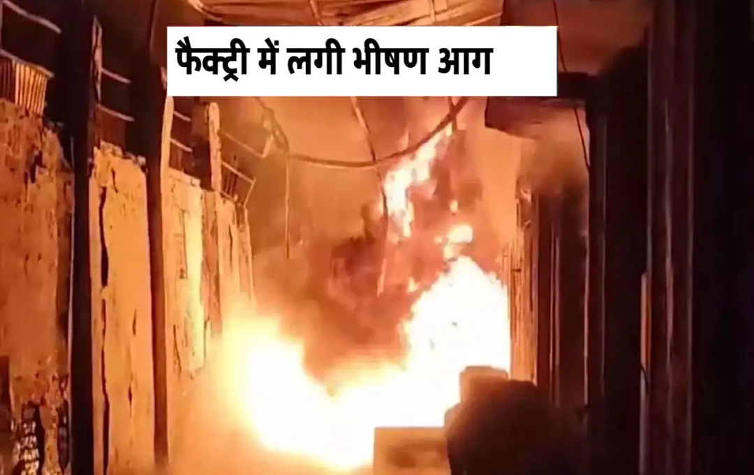 Ghaziabad Factory Fire: मुरादनगर में स्थित दो फैक्ट्री में लगी भयंकर आग, मौके पर पहुंची फायर बिग्रेड की 12 गाड़ियां, उठ रही आग की लपटे 