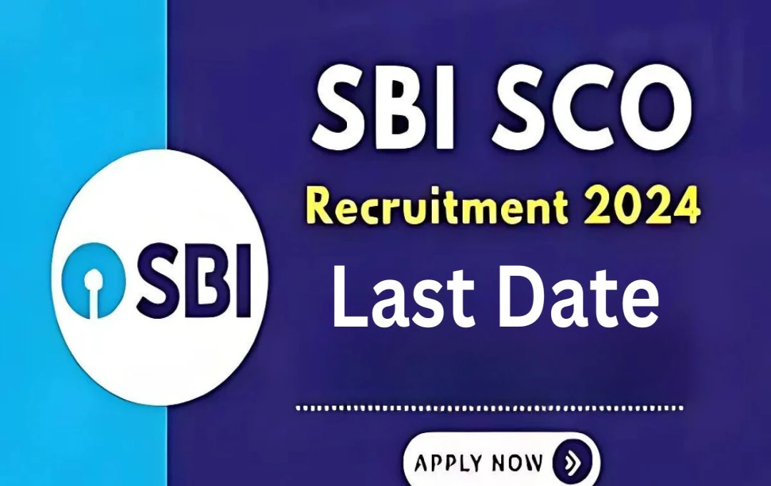 SBI SCO Recruitment 2024: SBI SCO भर्ती के लिए आवेदन की अंतिम तिथि आज, तुरंत करें आवेदन! 