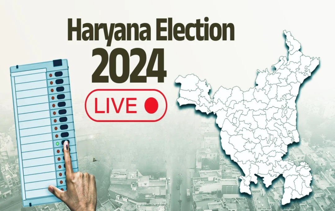 Haryana Election 2024 Voting Live Update: मतदान केंद्रों पर उमड़ा जनसैलाब, सुबह 11 बजे तक राज्य में 22.70% मतदान दर्ज 