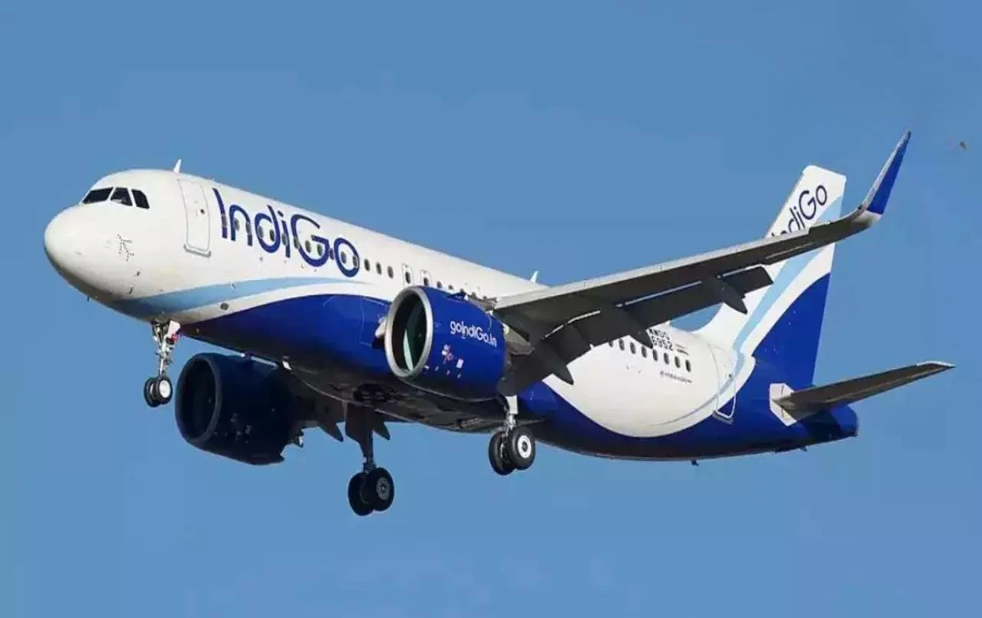 Indigo के यात्रियों को चेक-इन में हो रही देरी, वेबसाइट और बुकिंग पर असर….