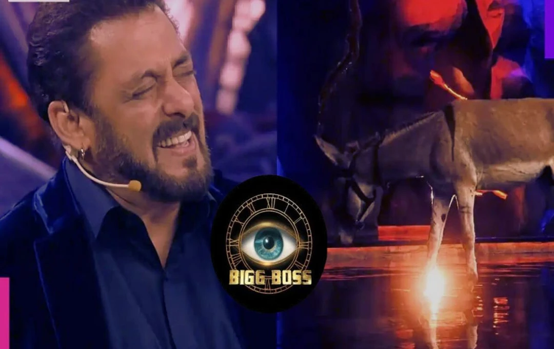 Bigg Boss 18: बिग्ग बॉस में हुई नए कंटेस्टेंट की एंट्री, गधे मैक्स के साथ करेंगे घर में निवास 