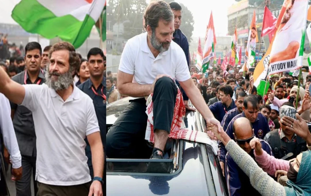 Rahul Gandhi Nyay Yatra: दिल्ली विधानसभा चुनाव की तैयारी में कांग्रेस, 23 अक्टूबर से राहुल गांधी की 'न्याय यात्रा', देखें पूरा शेड्यूल 