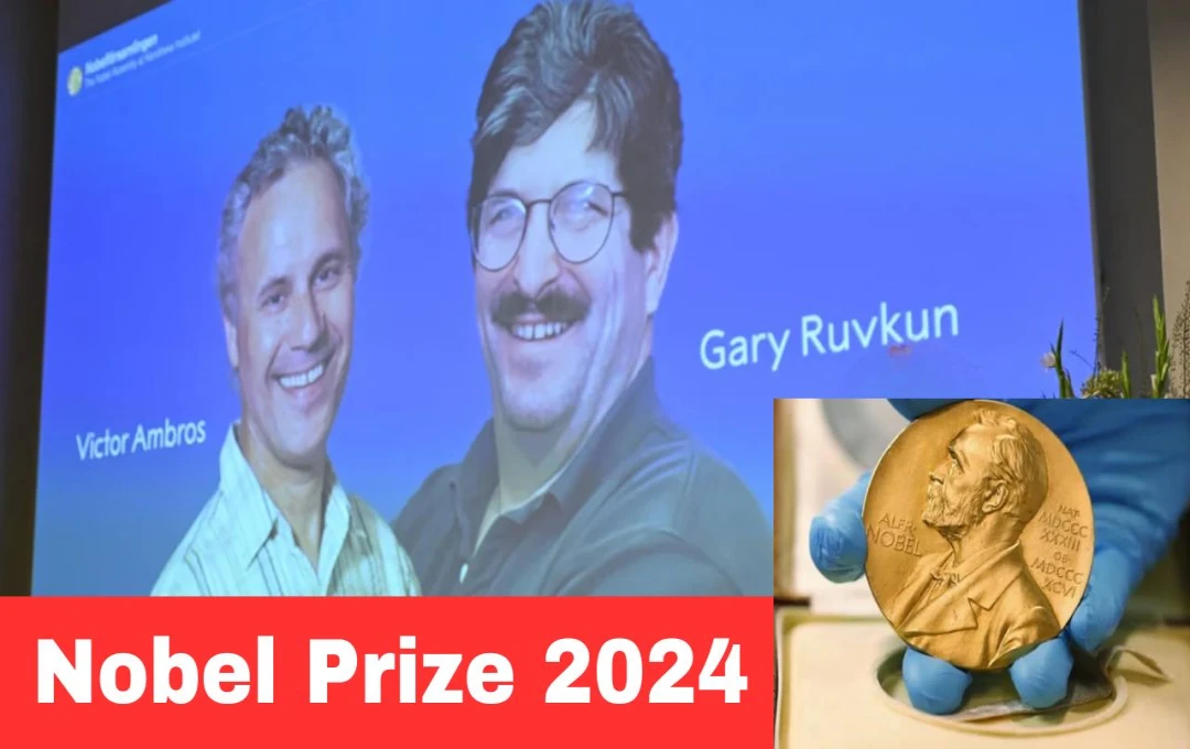 Nobel Prize 2024: चिकित्सा के लिए नोबेल पुरस्कार का हुआ ऐलान, अमेरिकी वैज्ञानिक विक्टर एंब्रोस और गैरी रुवकुन को मिला ये सम्मान, की थी ये खास खोज