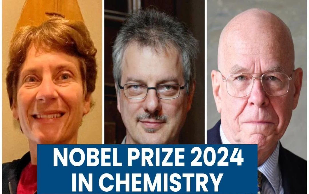 Nobel Prize 2024: रसायन विज्ञान में नोबेल पुरस्कार की हुई घोषणा, डेविड बेकर-डेमिस हसाबिस और जॉन जम्पर को मिला ये सम्मान 