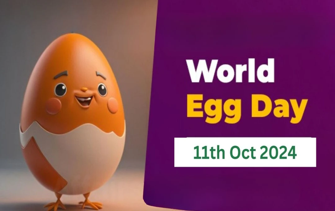 World Egg Day 2024: जानें अंडे का महत्व, पोषण और स्वास्थ्य लाभ के बारे में 