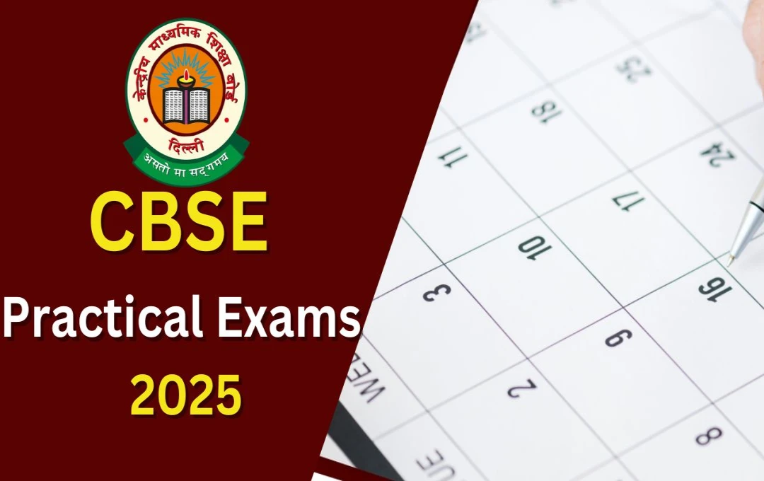 CBSE Practical Exams 2025: सीबीएसई ने प्रैक्टिकल परीक्षा की तारीखों का किया एलान, परीक्षाएं नवंबर महीने से होंगी शुरू