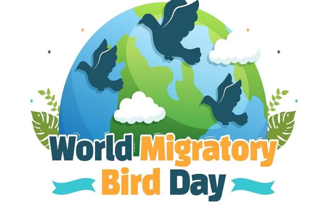 World Migratory Bird Day 2024: पक्षियों के लिए एक सुरक्षित भविष्य की दिशा की ओर एक कदम