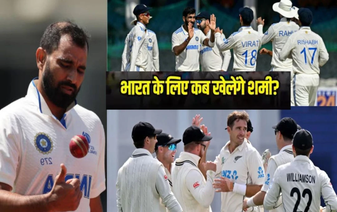 Cricket News: मोहम्मद शमी को न्यूजीलेंड के खिलाफ टेस्ट सीरीज में नहीं मिली जगह, बॉर्डर-गावस्कर ट्रॉफी से भी हो सकते है बाहर, जानें क्या है वजह?