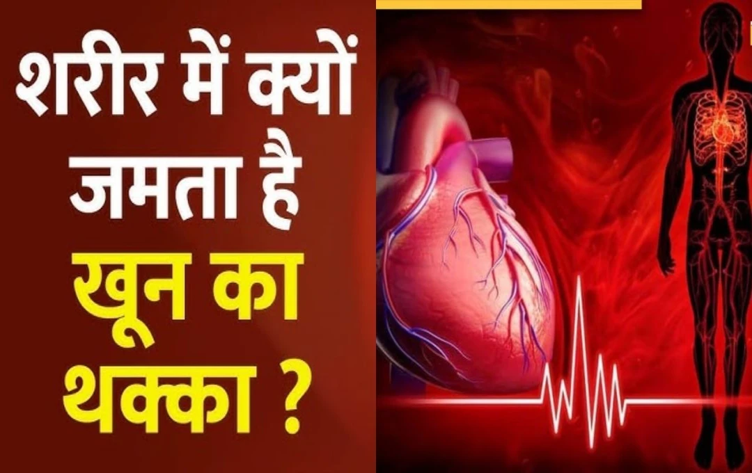 नसों में जम रहे खून को पतला करने वाली 5 प्राकृतिक चीजें: हार्ट अटैक के खतरे को कम करने का प्रभावी तरीका