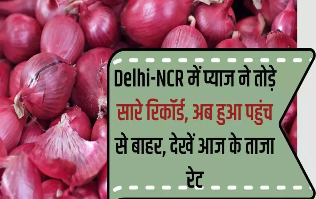 दिल्ली-NCR में प्याज की कमी से राहत: 'कंडा एक्सप्रेस' से 1,600 टन प्याज लाएगी सरकार जानें पूरी जानकारी 