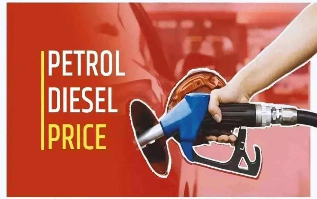 Petrol-Diesel Price: जानें 23 अक्टूबर के पेट्रोल डीज़ल के लेटेस्ट दाम, टंकी भरवाने से पहले ज़रूर चेक करें