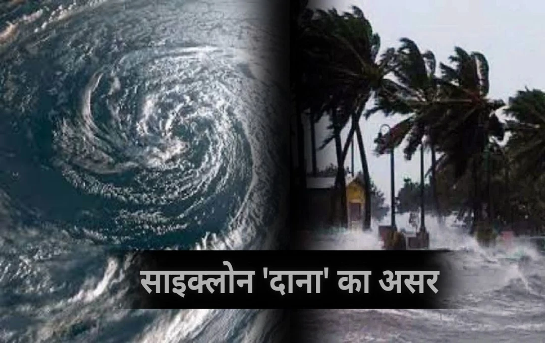 Cyclone Dana: साइक्लोन 'दाना' का खतरा! ओडिशा में प्रशासन का हाई अलर्ट, जगन्नाथ और कोणार्क मंदिर बंद करने के आदेश जारी 