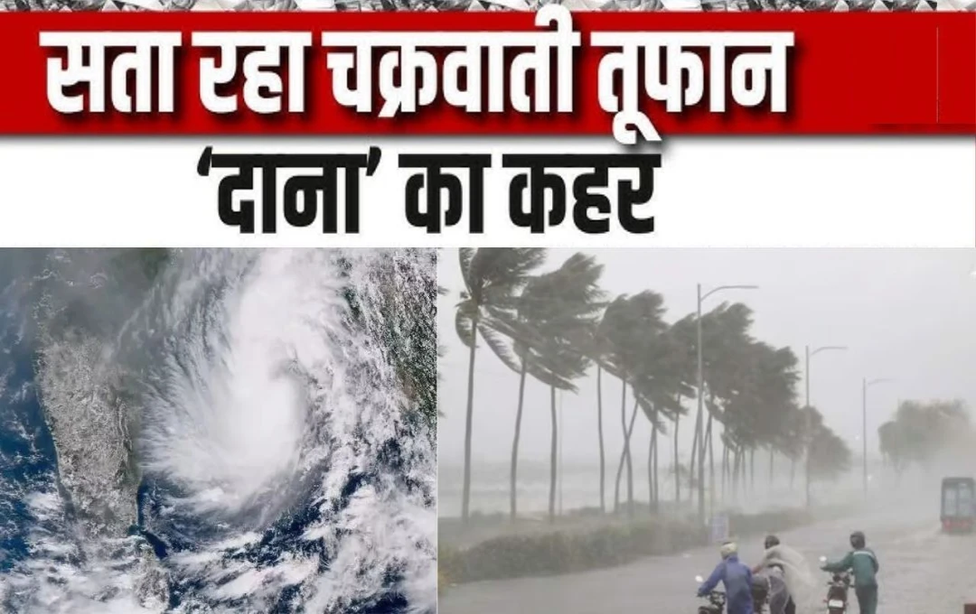 Cyclone Dana: ओडिशा में तूफान 'दाना' का कहर, प्रशासन ने 400 उड़ानें और 750 ट्रेनों को किया रद्द; जानिए सरकार की कैसी है तैयारी?