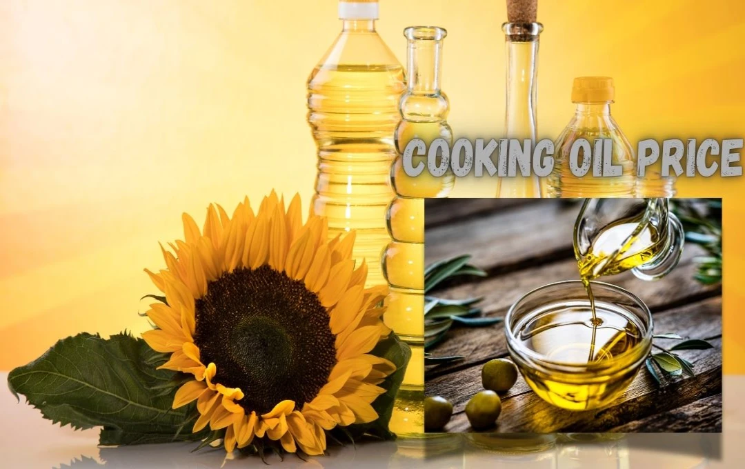 Cooking Oil Custom Duty: दिवाली से पहले सरकार का बड़ा फैसला, खाद्य तेलों पर बढ़ाया टैक्स, आम जनता का बिगड़ा बजट, देखें लेटेस्ट Price 