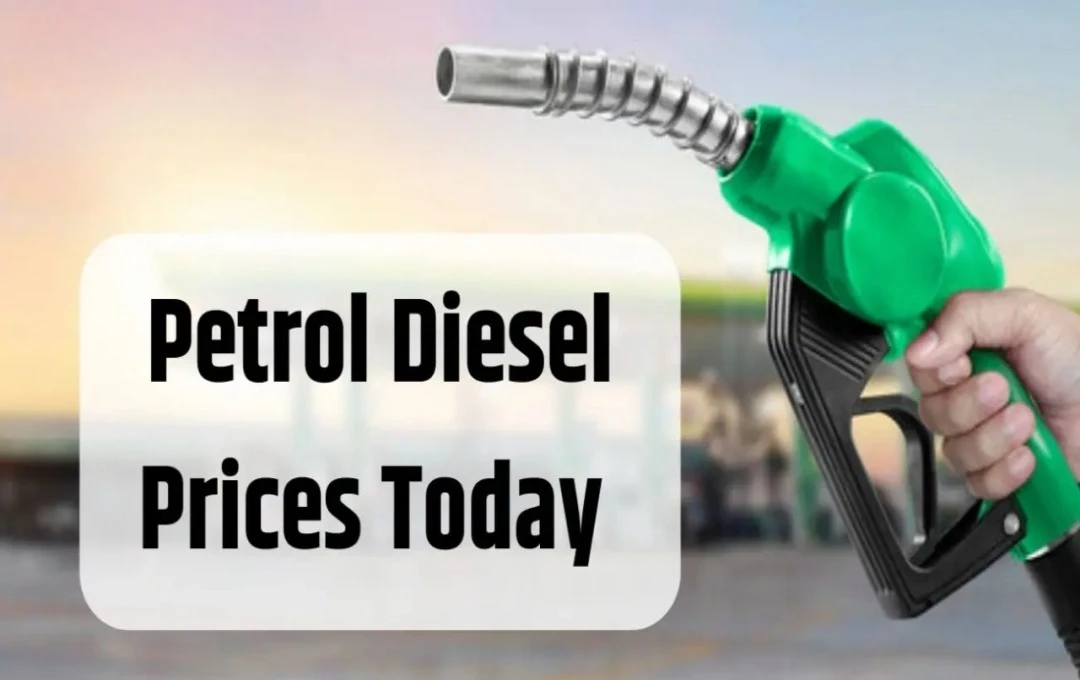 Petrol-Diesel Price: फ्यूल की कीमतों में राहत, दिल्ली में पेट्रोल-डीजल नोएडा-गुरुग्राम से सस्ता, जानें अपने शहर के ताजा दाम