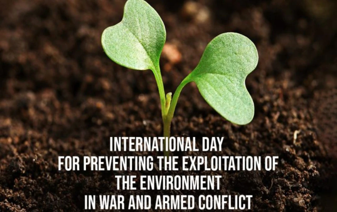 International Day for Preventing the Exploitation of the Environment in War and Armed Conflict 2024: संघर्ष से पारिस्थितिकी तंत्र की सुरक्षा की ओर एक अह