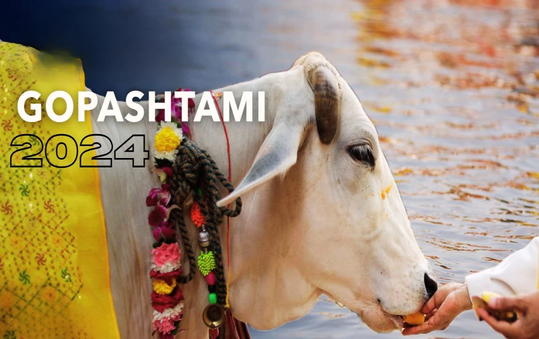 Gopashtami 2024: कब है गोपाष्टमी 2024? जानें तिथि और इस दिन किसकी होती है पूजा