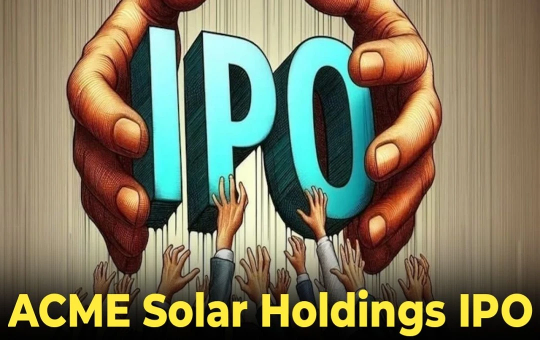 ACME Solar Holdings IPO: एक्सपर्ट्स की सलाह, जानें क्या इस आईपीओ में निवेश करना सही रहेगा?