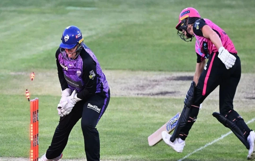 Womens Big Bash League 2024: वीमेंस बिग बैश लीग में हुई गड़बड़ी, आउट होने के बाद भी खेलती रहीं एलिस पैरी, रीप्ले देखकर सभी के उड़े होश