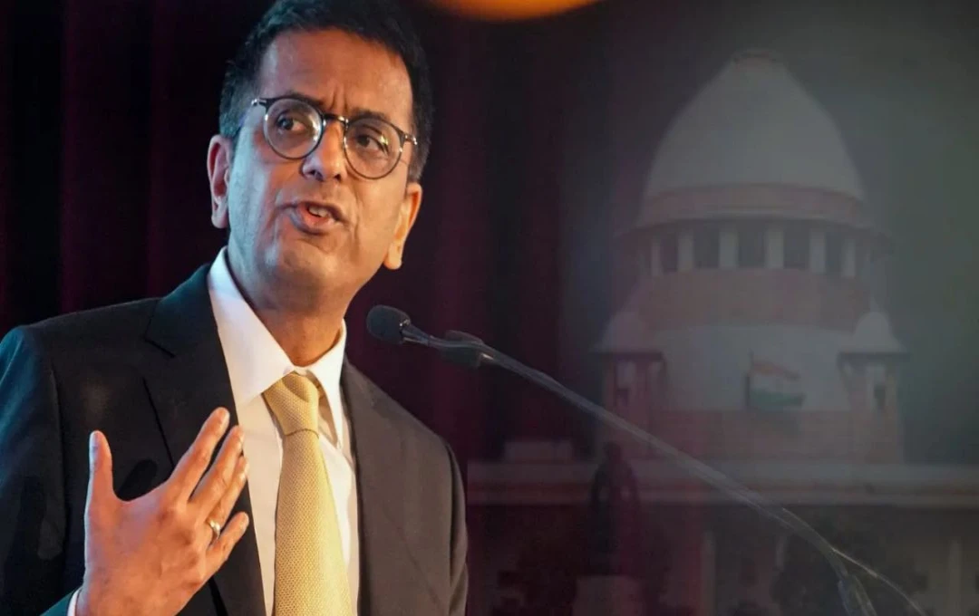 CJI DY Chandrachud: सुप्रीम कोर्ट के चीफ जस्टिस DY चंद्रचूड़ का आखिरी जजमेंट, कहा- 'बुलडोजर से न्याय नहीं मिल सकता'