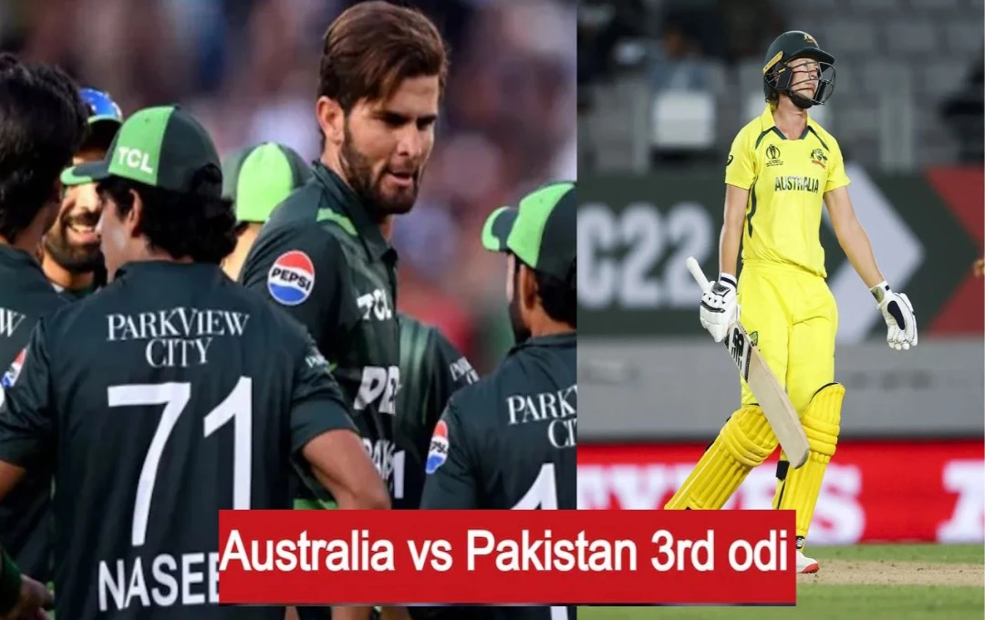 AUS vs PAK 3rd ODI: पाकिस्तान के तेज गेंदबाजों ने विदेशी धरती पर भरपाया कहर, ऑस्ट्रेलिया को मात्र 140 रन पर किया ढेर 