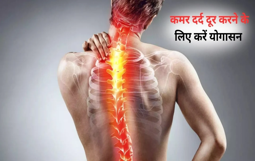 कमर दर्द से राहत पाने के लिए करें ये 5 शक्तिशाली योगासन – देखें चमत्कारी परिणाम