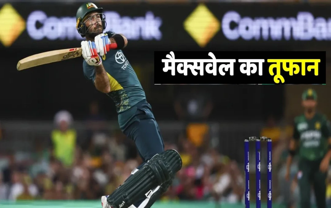 Glenn Maxwell: ब्रिसबेन में आया मैक्सवेल का तूफान; पाकिस्तानी गेंदबाजों की जमकर की धुनाई, नसीम के एक ओवर में लगाए चार चौके 