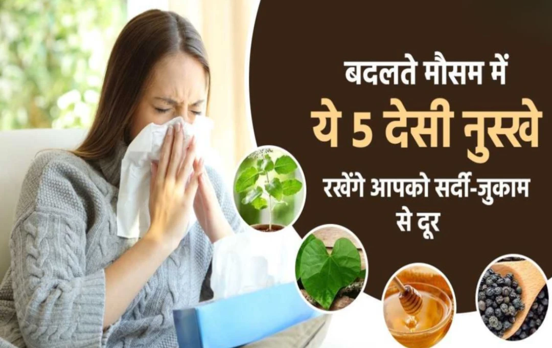 Health Tips: दिन-रात के बदलते मौसम से बचाव के लिए अपनाएं ये खास टिप्स, स्वास्थ को रखें सेहतमंद