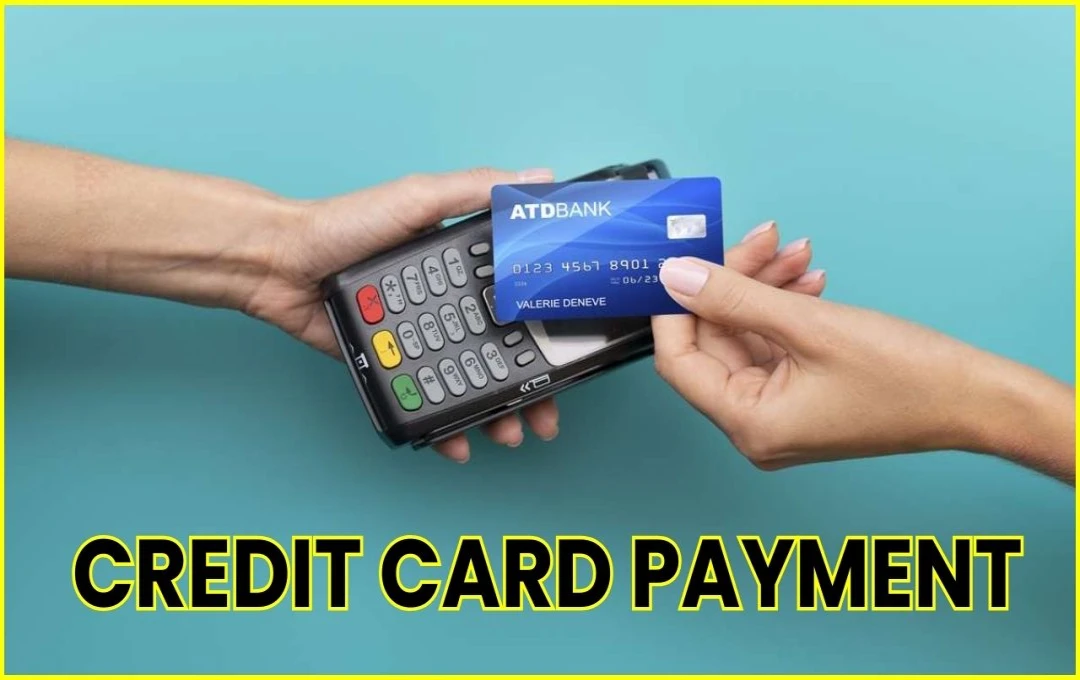 Credit Card Payment: ऑनलाइन खरीदारी में क्रेडिट कार्ड पेमेंट्स का उछाल, जानें इसके पीछे की हैरान करने वाली वजह