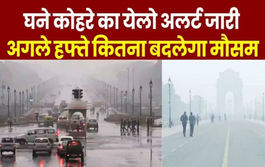 Delhi Weather: दिल्ली में कोहरे का येलो अलर्ट, वाहन चालकों के लिए मौसम विभाग की अहम चेतावनी