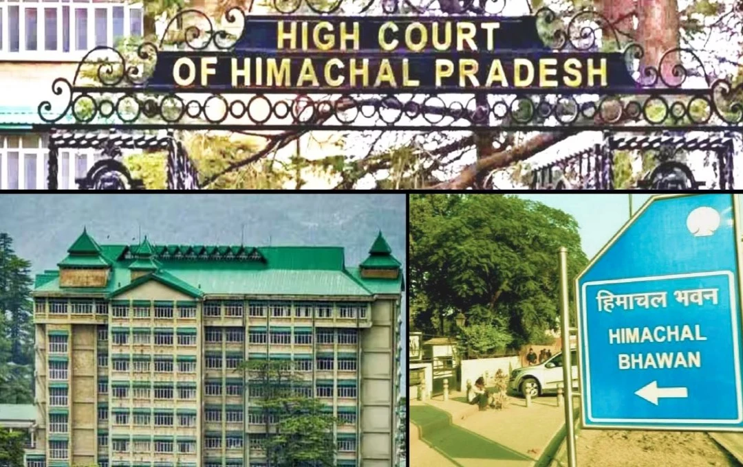 Himachal: ऊर्जा विभाग की लापरवाही पर HC सख्त, हिमाचल भवन कुर्क  करने के दिए आदेश, जानें क्या है पूरा मामला? 