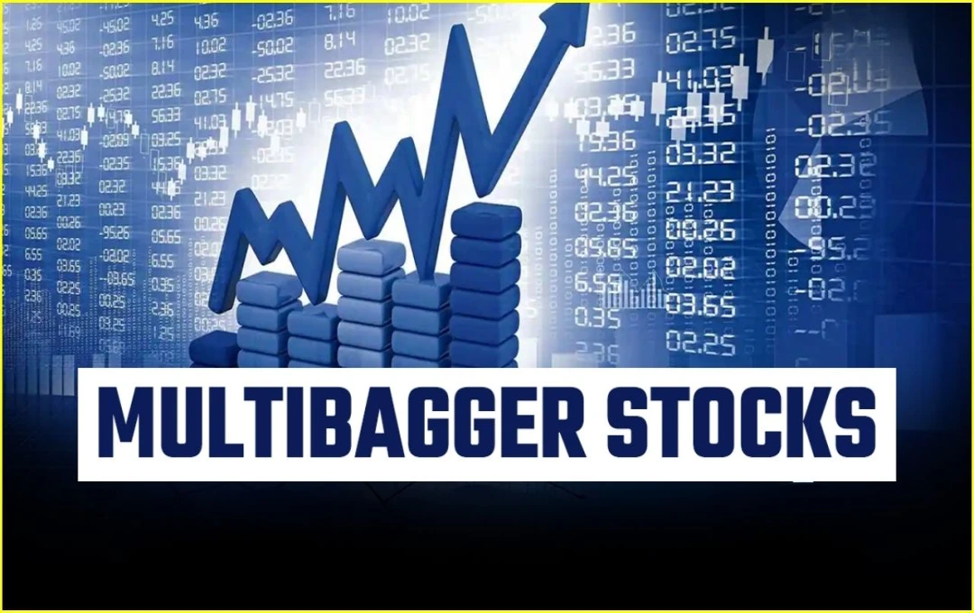 Multibagger Share: 6 महीने में 1700% रिटर्न देने वाला मल्टीबैगर स्टॉक कैसे बना निवेशकों का राजा?