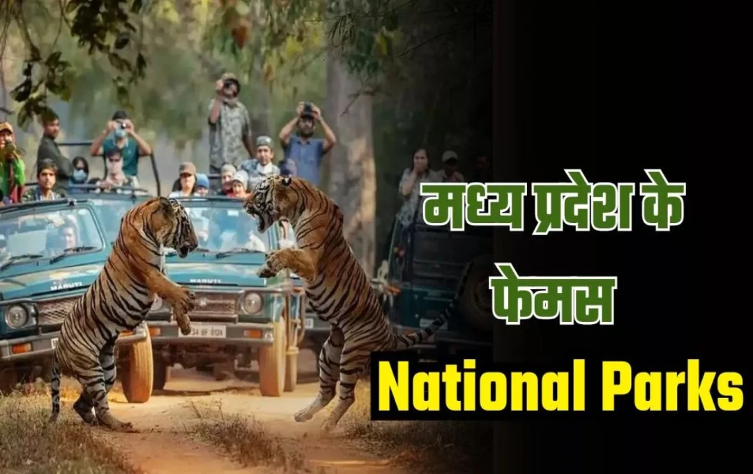 National Parks: वाइल्‍डलाइफ के शौकीन नेशनल पार्कों में प्राकृतिक सुंदरता का ले आनंद, जानिए मध्य प्रदेश के फेमस नेशनल पार्क के बारे में 
