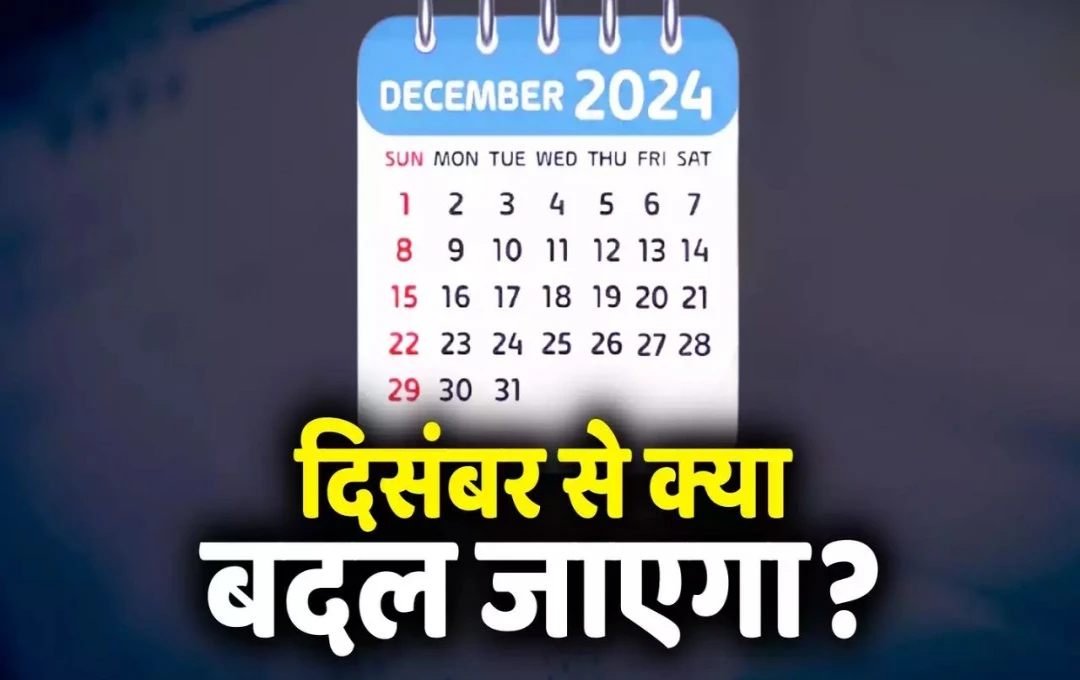 New Rules: एक दिसंबर से मालदीव यात्रा और लेनदेन से जुड़ी व्यवस्था में होगा बदलाव, बढ़ेगी गैस सिलेंडर की कीमत, जानें दिसंबर में कितने दिन बंद रहेंगे बैंक?