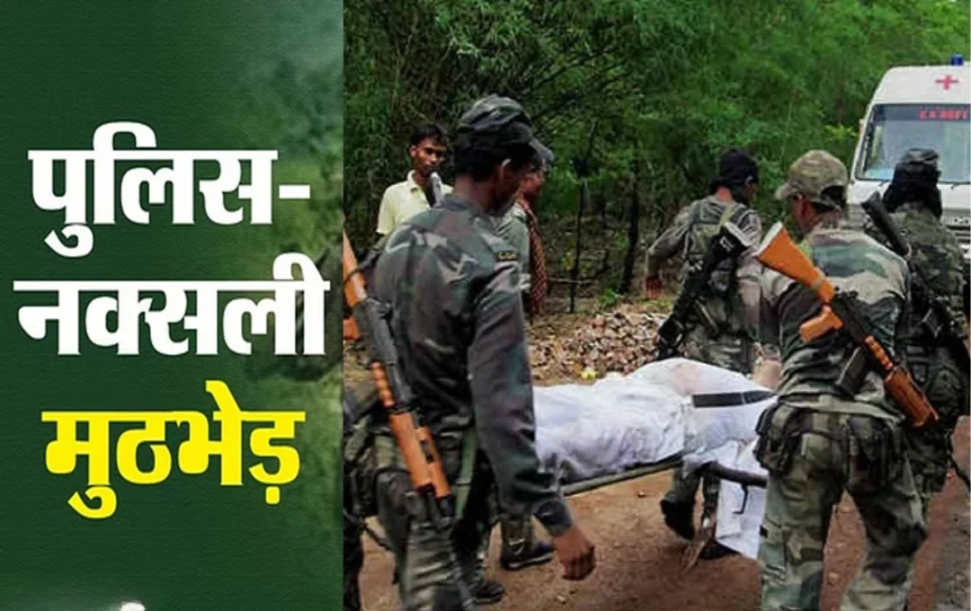 Naxal Encounter in Chhattisgarh: नक्सलियों और सुरक्षा बलों के बीच हुई मुठभेड़, छत्तीसगढ़-तेलंगाना बॉर्डर पर मारे गए 7 नक्सली 