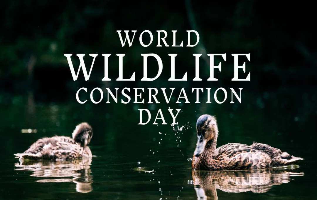 World Wildlife Conservation Day 2024: एक वैश्विक प्रयास, दुनिया भर में वन्यजीवों के संरक्षण का संकल्प लें