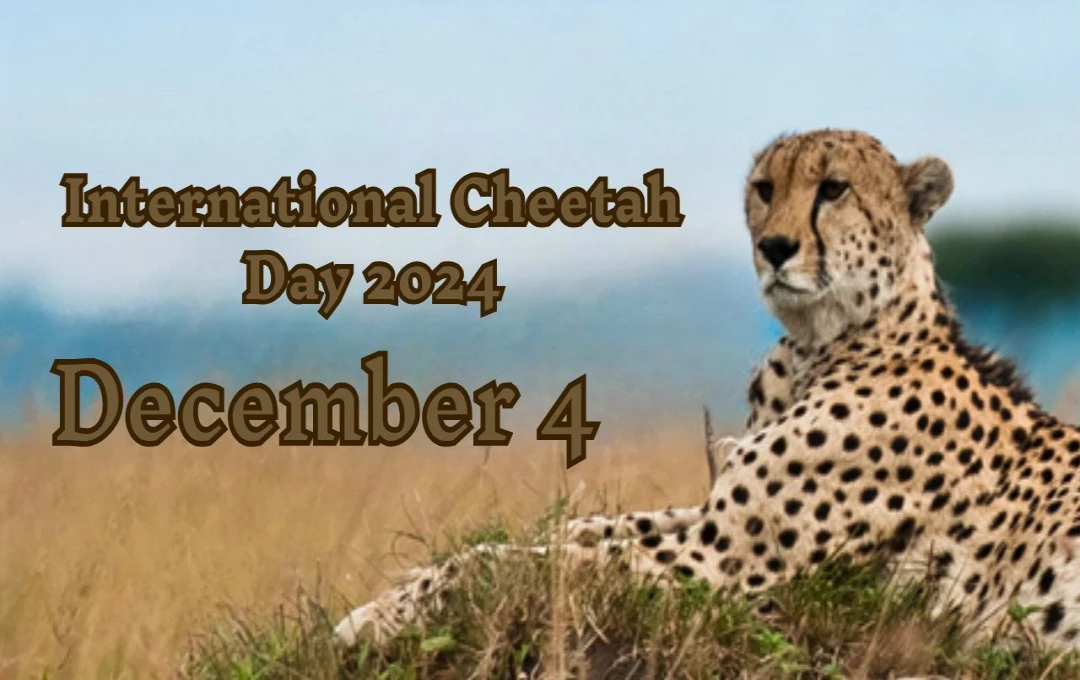 International Cheetah Day 2024: संकट में पड़ी चीता प्रजाति के संरक्षण के लिए सामूहिक प्रयास की आवश्यकता