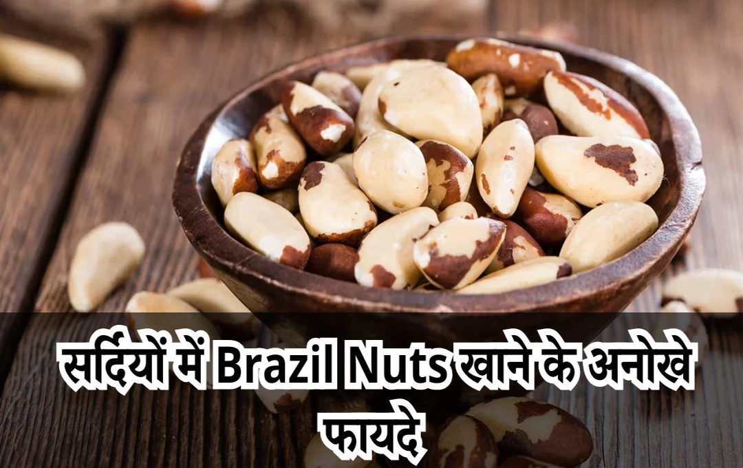 सर्दियों में Brazil Nuts को बनाएं डाइट का हिस्सा, थायरॉइड को कंट्रोल करने में मिलेगी मदद