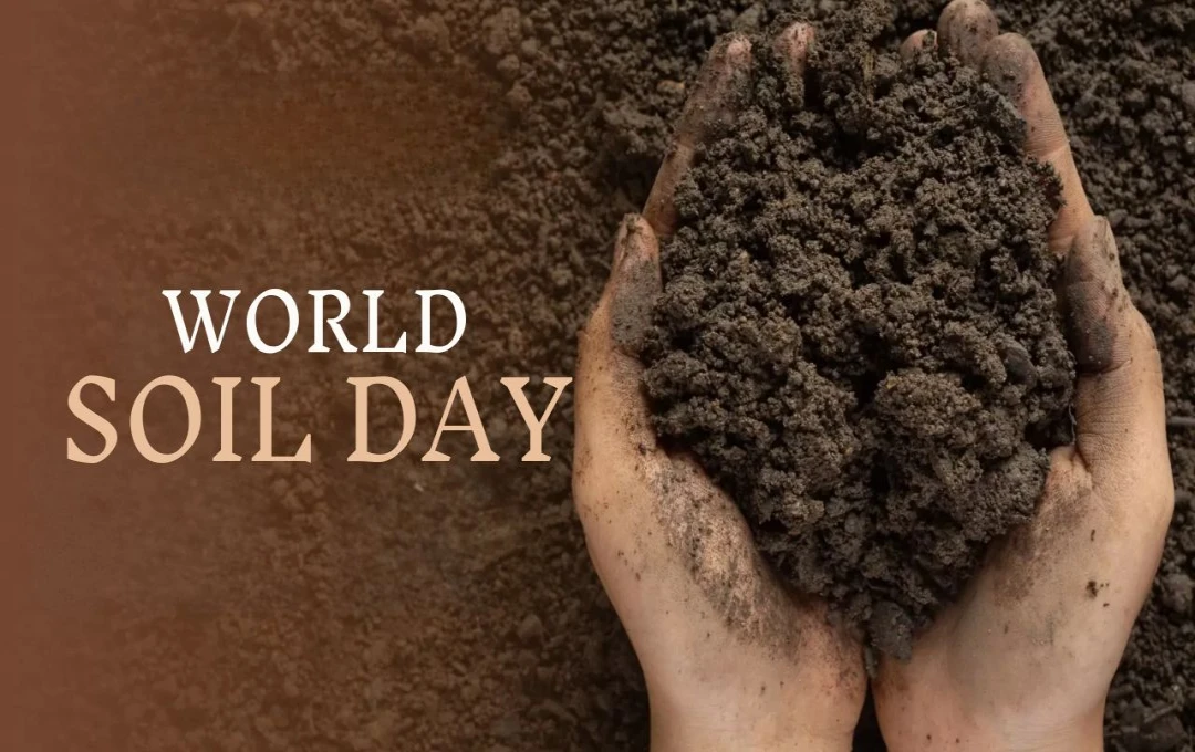 World Soil Day 2024: इस साल की थीम क्या है? मृदा संरक्षण का संदेश और इतिहास