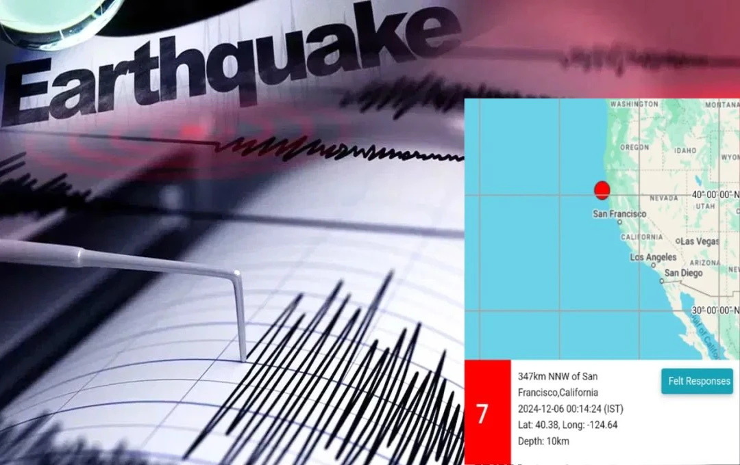 Earthquake in California: अमेरिका के कैलिफोर्निया में महसूस हुए भूकंप के तेज झटके; तीव्रता 7.0 मैग्नीट्यूड, अधिकारियों ने कहा- 'सुनामी का खतरा नहीं'