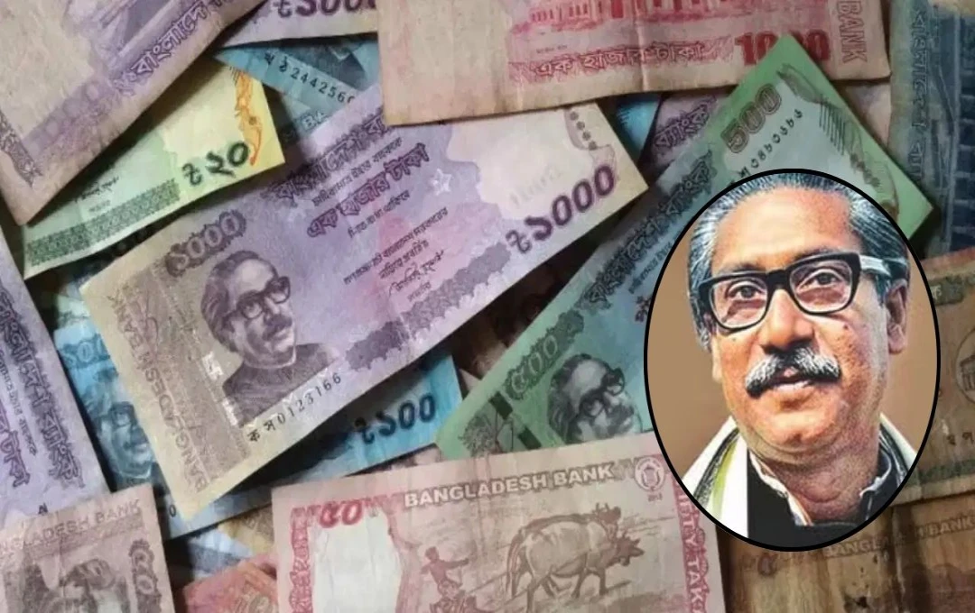 Bangladesh Currency: बांग्लादेश की करेंसी डिज़ाइन में हो सकता है बदलाव, शेख मुजीब की तस्वीर हटाने का फैसला