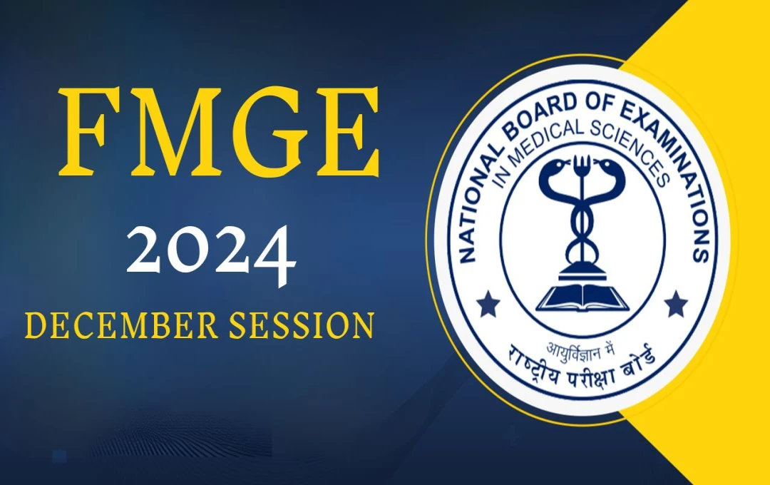 FMGE December 2024 Exam: नेशनल बोर्ड ऑफ एग्जामिनेशन ने एफएमजीई दिसंबर 2024 परीक्षा के लिए करेक्शन विंडो खोली, जानें किसे मिलेगा सुधार का मौका