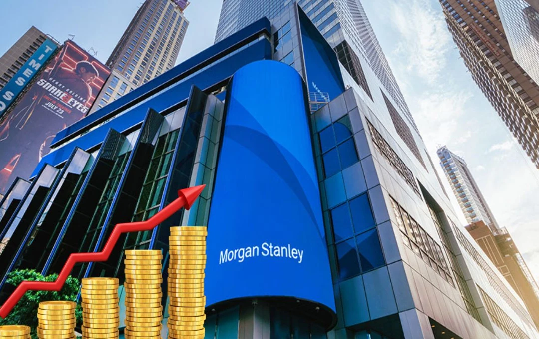 Morgan Stanley की सेंसेक्स पर बुलिश रिपोर्ट, 2025 में सेंसेक्स पर इन स्टॉक्स से मिलेगा जबरदस्त रिटर्न