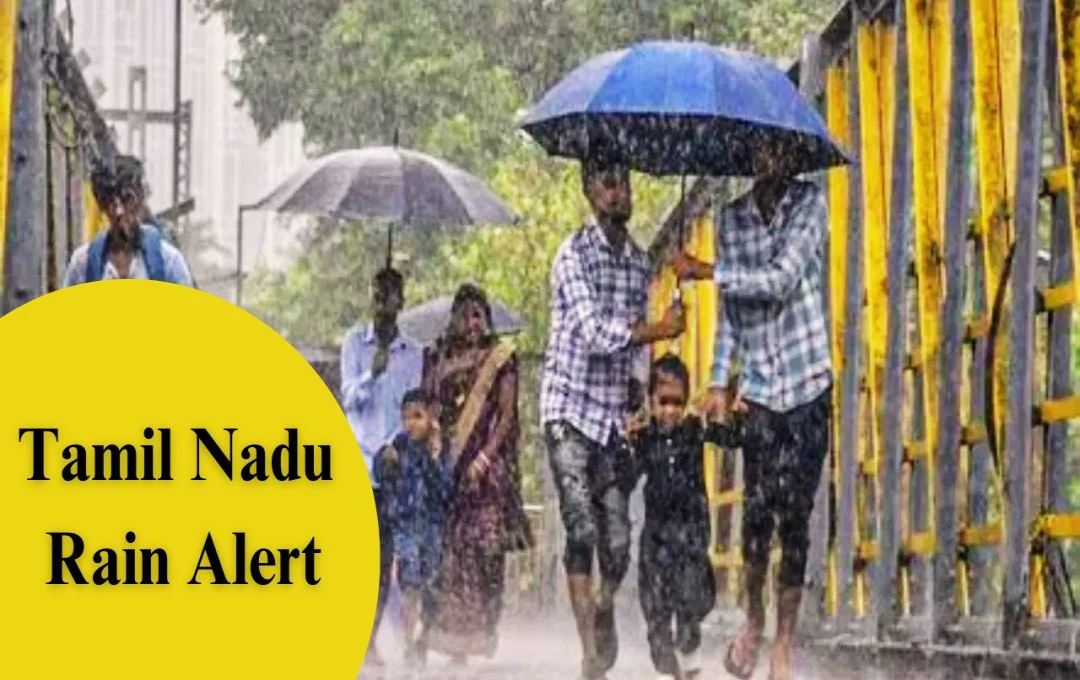 Tamil Nadu Rain Alert: तमिलनाडु में बारिश का कहर, 11 जिलों में IMD का अलर्ट, स्कूल बंद की घोषणा 