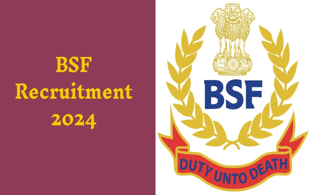 BSF Recruitment 2024: BSF में नौकरी का बेहतरीन मौका, बिना लिखित परीक्षा के वॉक-इन इंटरव्यू से पाएं नौकरी, जानें पूरी प्रक्रिया