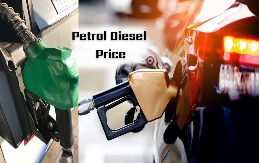 Petrol Diesel Price Today: 17 December को देश के प्रमुख शहरों में पेट्रोल-डीजल की कीमतें स्थिर, देखें आज के रेट्स 