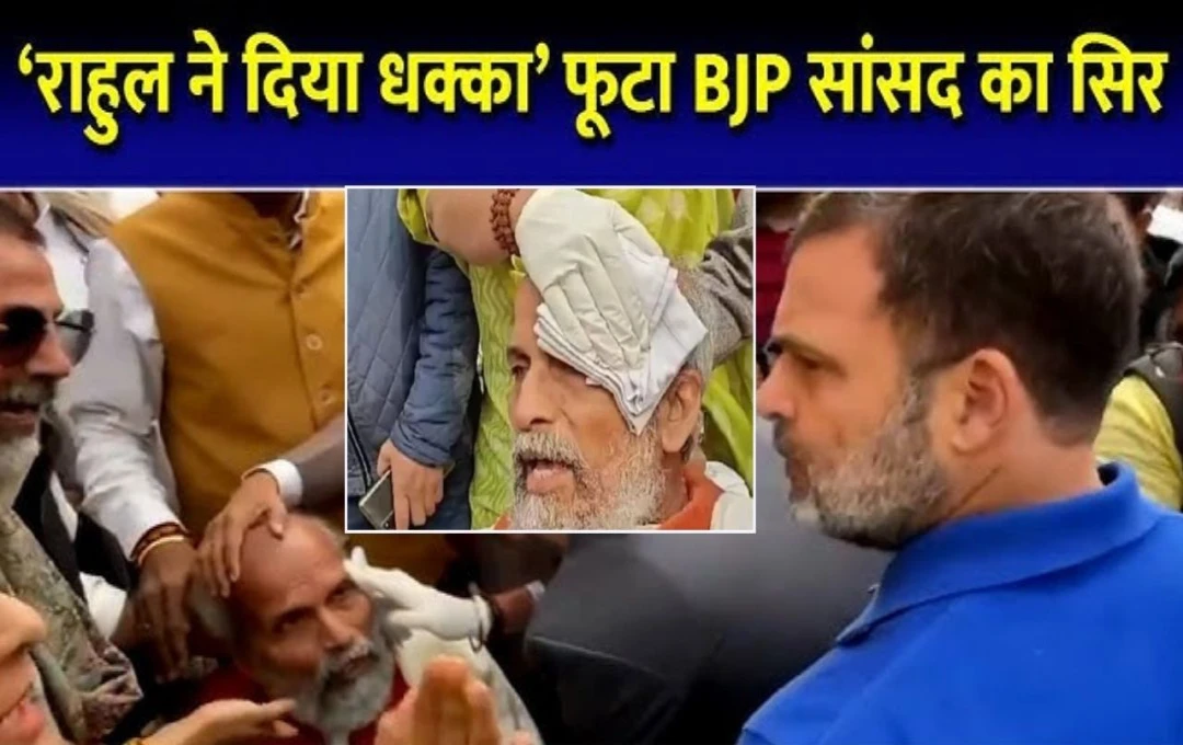 Delhi: आंबेडकर टिप्पणी को लेकर बीजेपी और कांग्रेस आमने-सामने, जेपी सांसद प्रताप सारंगी हुए चोटिल, राहुल गांधी पर लगाया आरोप 