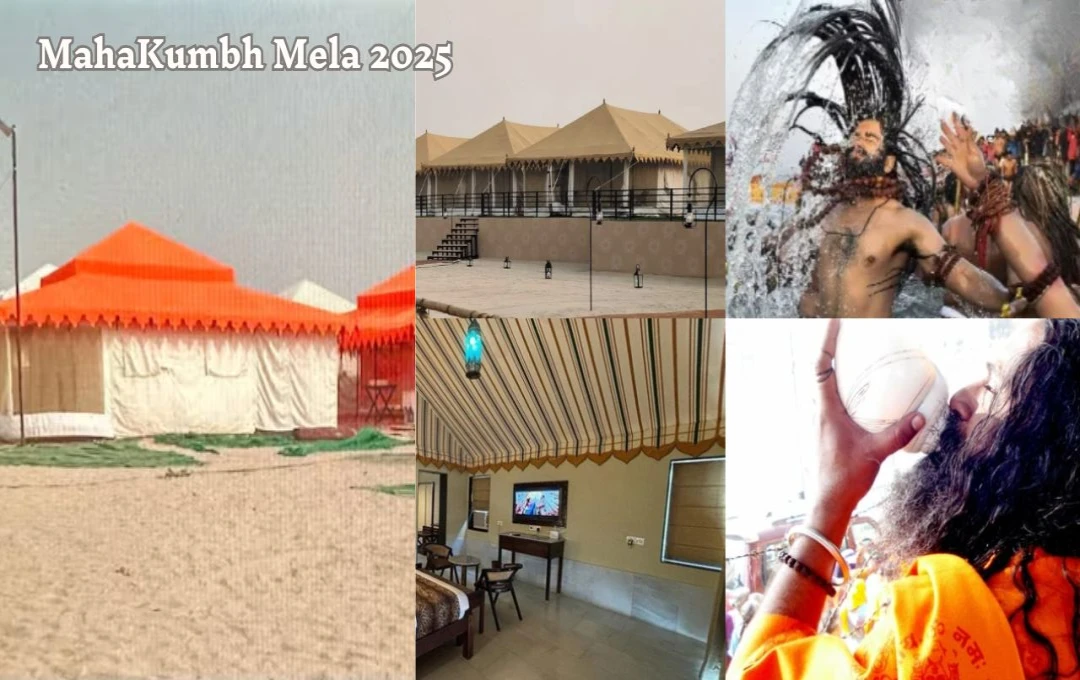 Kumbh Mela 2025: प्रयागराज में रॉयल टेंट सिटी की तैयारियां जोरों पर, वीआईपी मेहमानों के लिए खास सुविधाएं