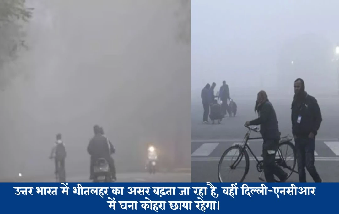 Weather Forecast: उत्तर भारत में शीतलहर का प्रकोप, दिल्ली-एनसीआर में घना कोहरा, दक्षिण भारत में बारिश का अलर्ट